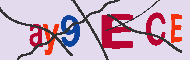 Codigo Captcha
