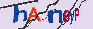 Codigo Captcha